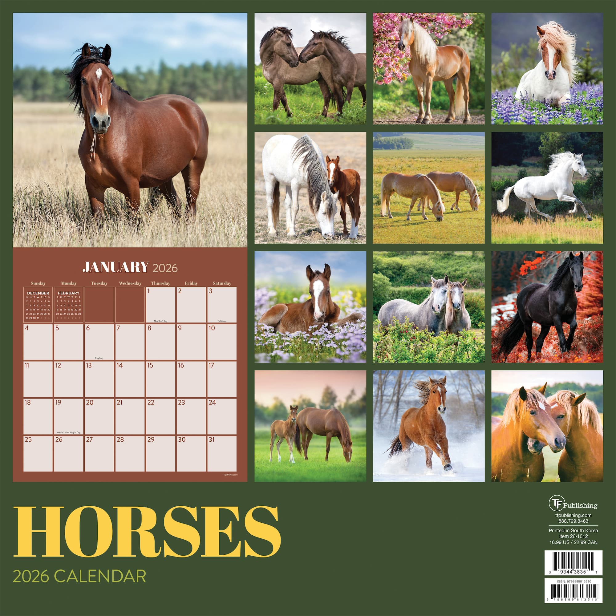 2026 Horses Wall Calendar